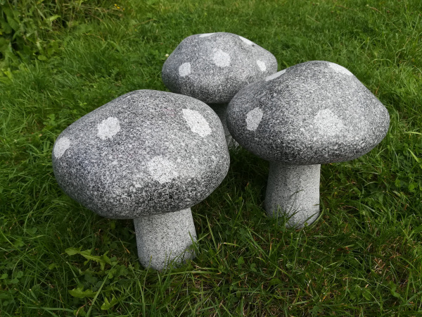 Naturstein Pilz aus dunklen Granit, Gr.2